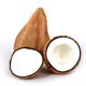 Shop Tender Coconut
